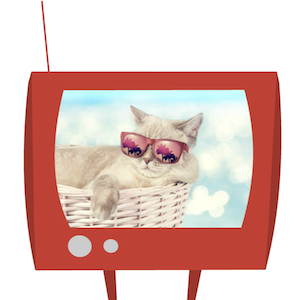 Grammar for Rockstars